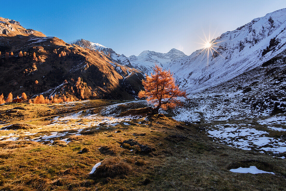 Early autumn morning in the Tyrolean Alps, Wildlahnertal, Austria