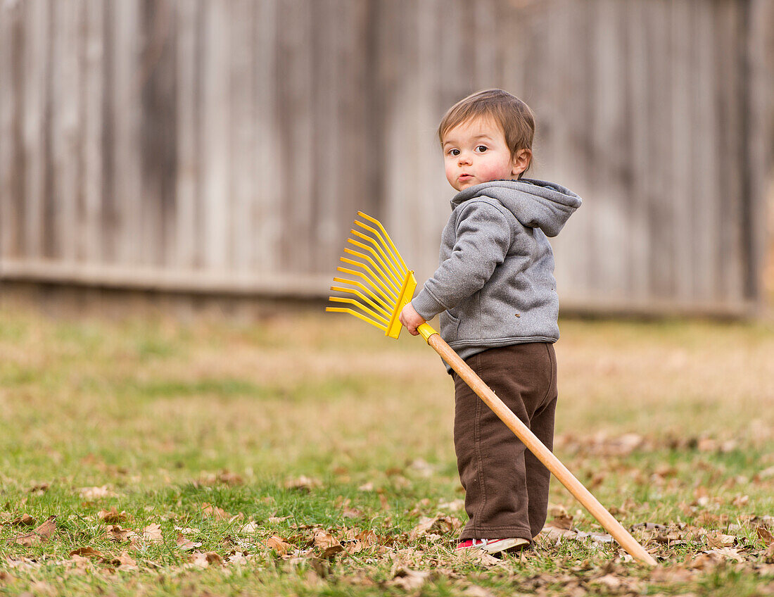 Young boy raking fall leaves