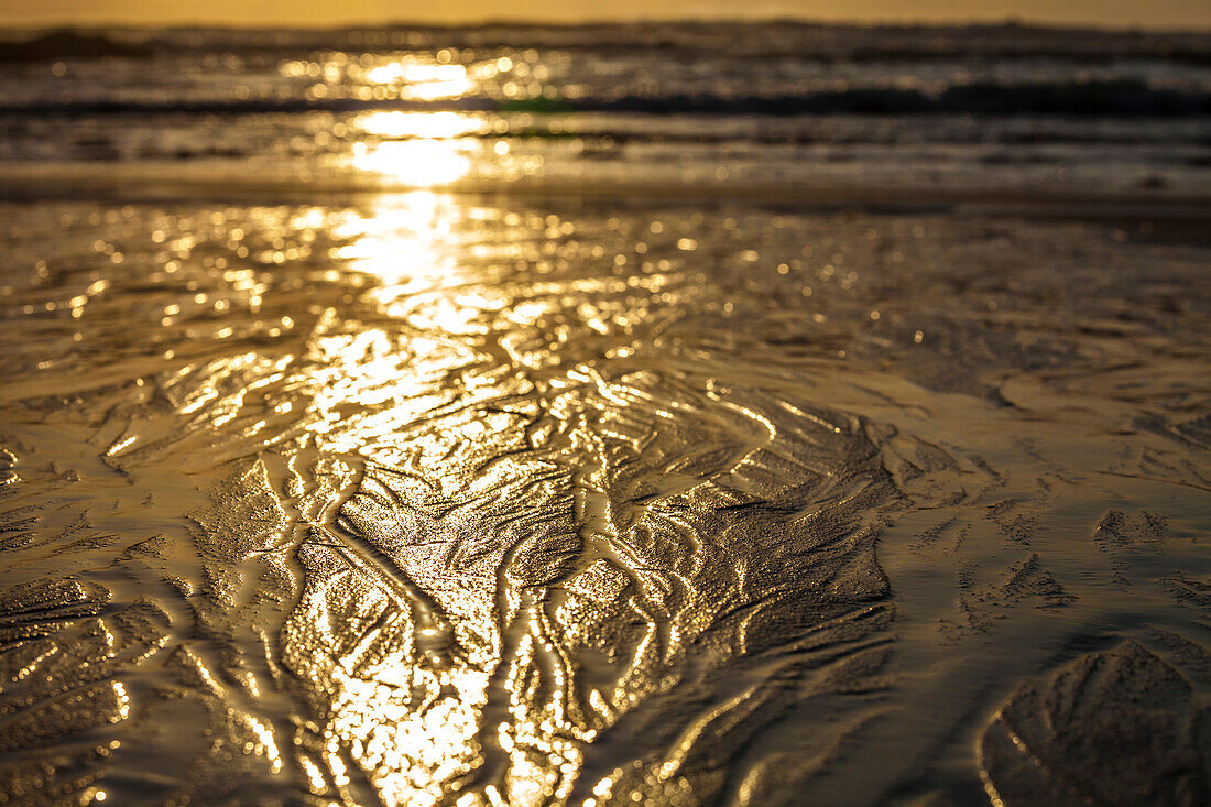 Braided stream channels on Lincoln Beach lead to the Pacific Ocean.