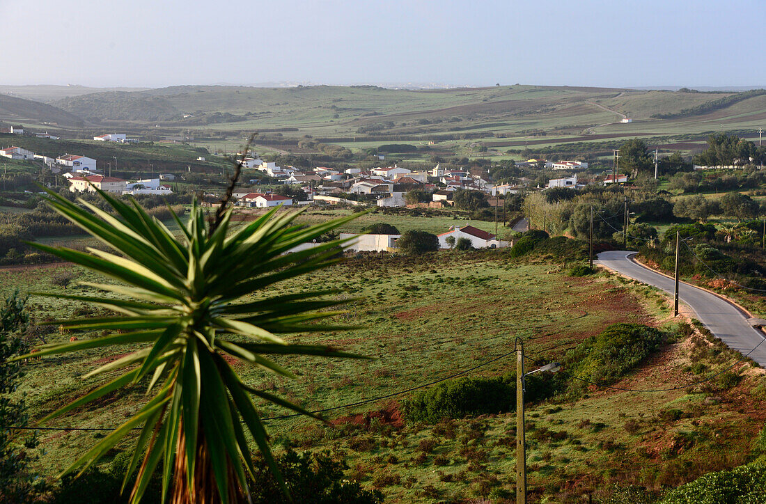 At Raboseira near Sagres, Algarve, Portugal