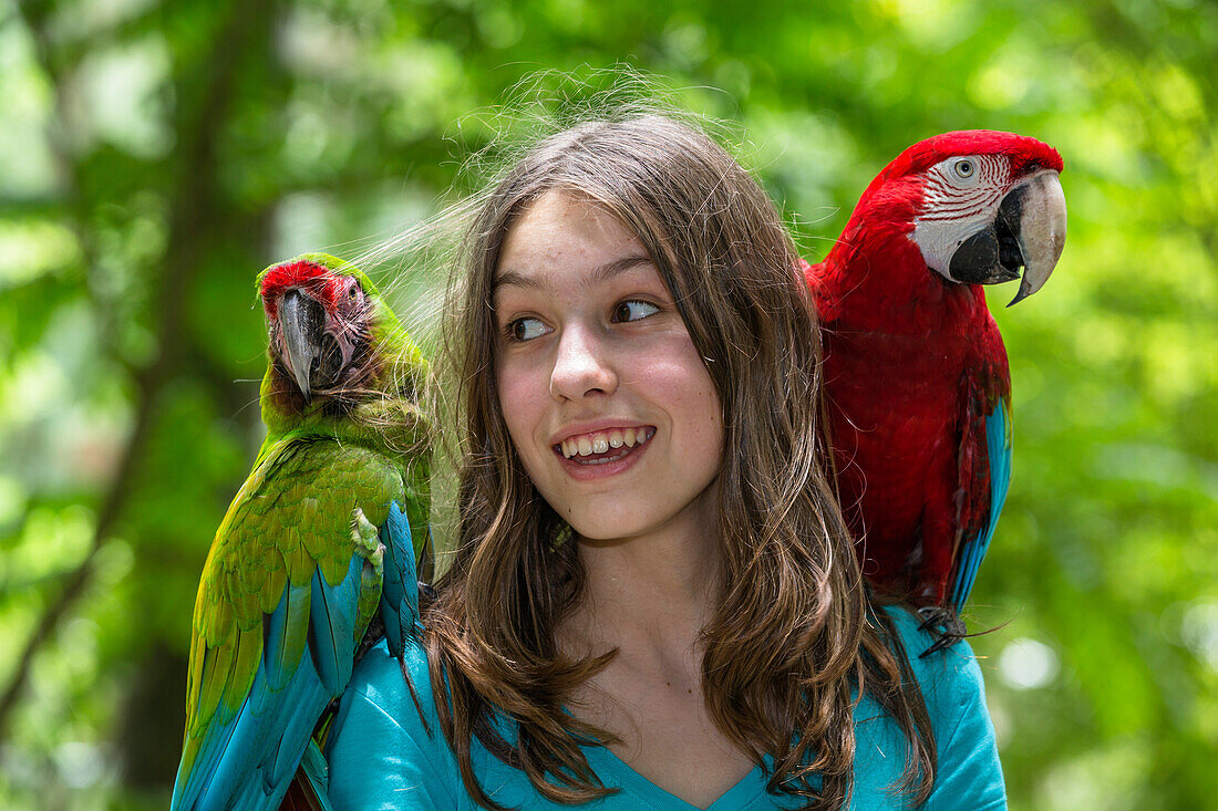 13 years old german girl with parrots on her shoulder, Military Macaw, Ara militaris, Red-and-green Macaw, Ara chloroptera, Trinidad, West Indies