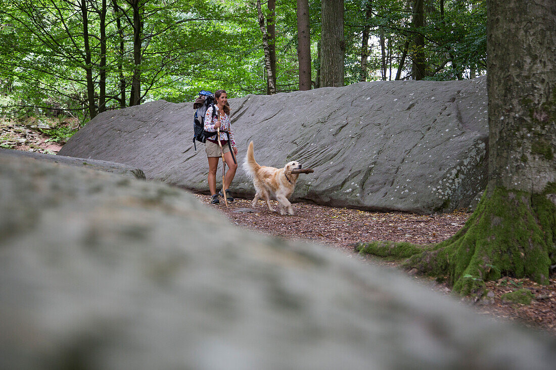 Young woman with backpack and walking stick and Golden Retriever dog hike with stick in mouth on trail along Lange Steine rock formation in Hessisches Kegelspiel mountains