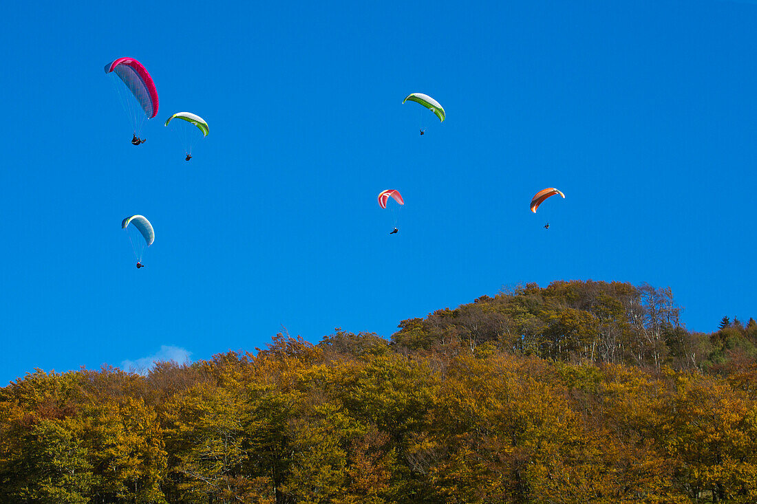 Paragliders from Gleitschirm-Flugschule Papillon paragliding school