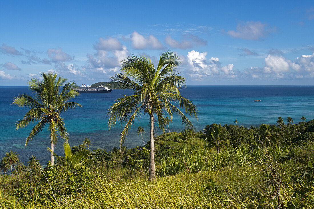 coconut palms on Dravuni Island, Fiji, with the MS Oosterdam in the background