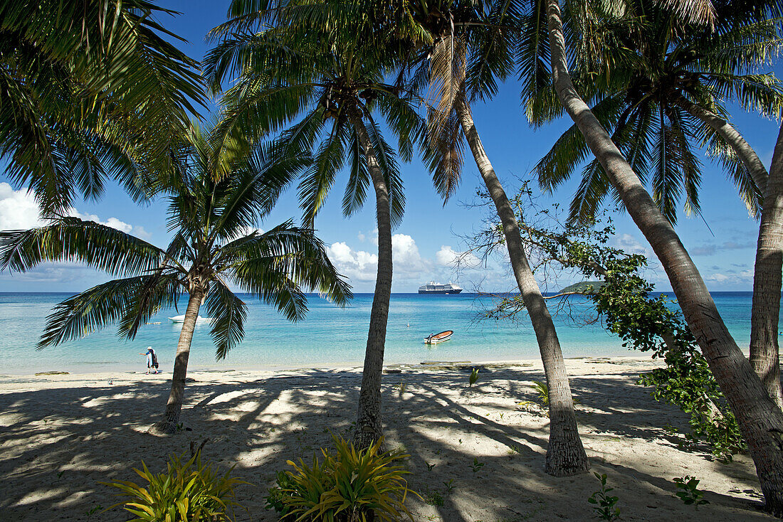 Kokospalmen auf der Insel Dravuni, Fidschi mit der MS Oosterdam im Hintergrund