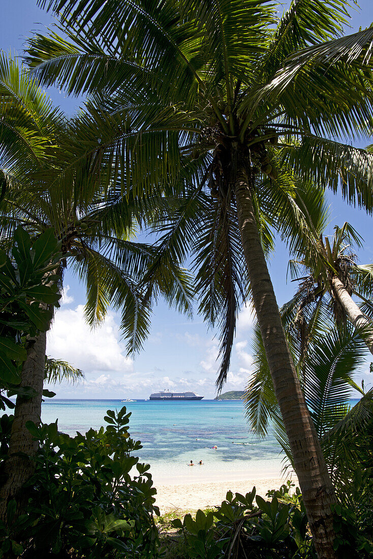 coconut palms on Dravuni Island, Fiji, with the MS Oosterdam in the background