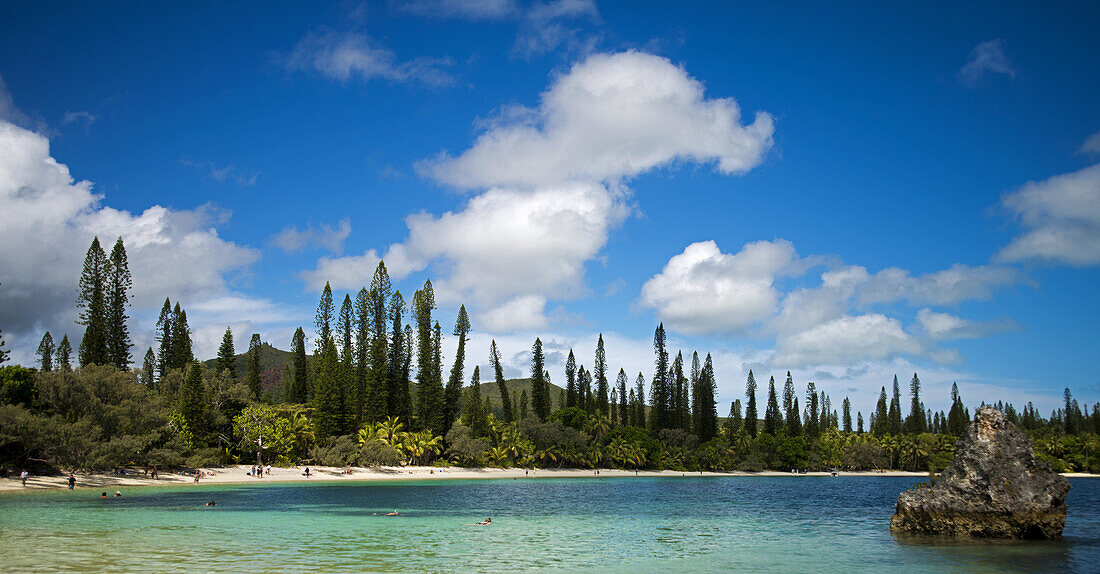 Die Kuto Bay mit Araucarien auf der Ile des Pines, Neukaledonien