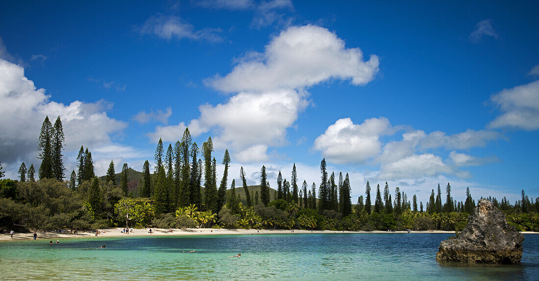 Kuto Bay with the distinct New Caledonia pine on Ile des Pines, New Caledonia