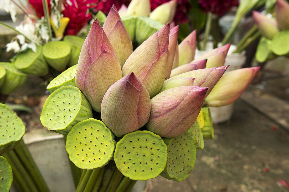 Tropische Blumenbouquets aus Lotusblumen auf dem zentralen Mark in Port Vila