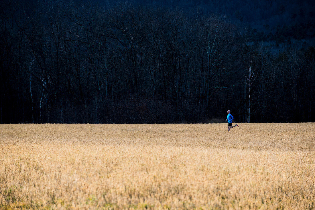 A wide open field makes for a nice place for an afternoon run in NH.