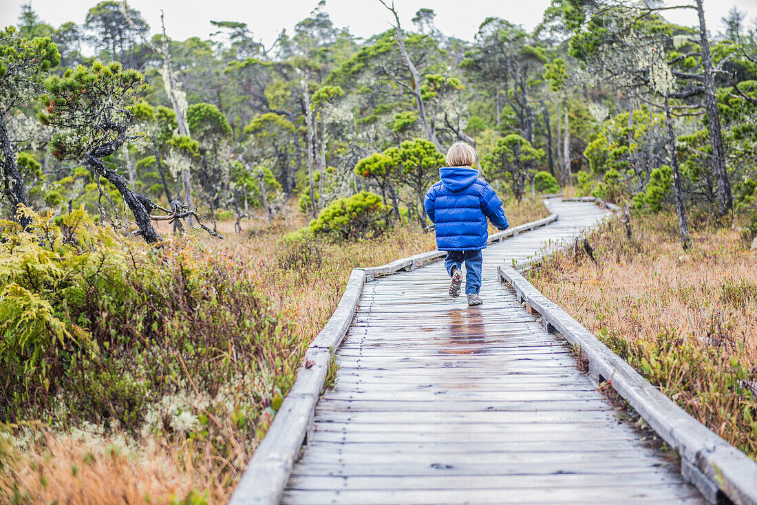 A young boy walks the Pine Bog Trail in Pacific Rim National Park on Vancouver Island.