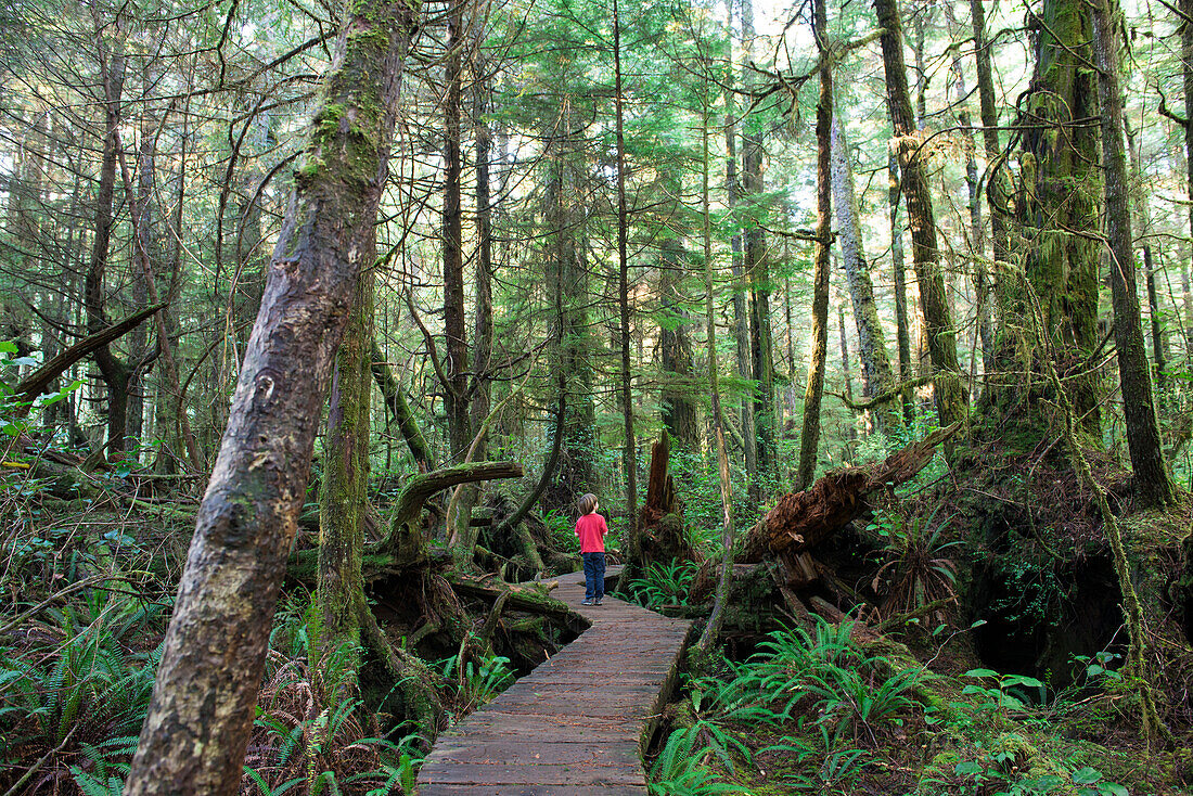 A young boy walks through the trees in an old growth forest in Pacific Rim National Park.