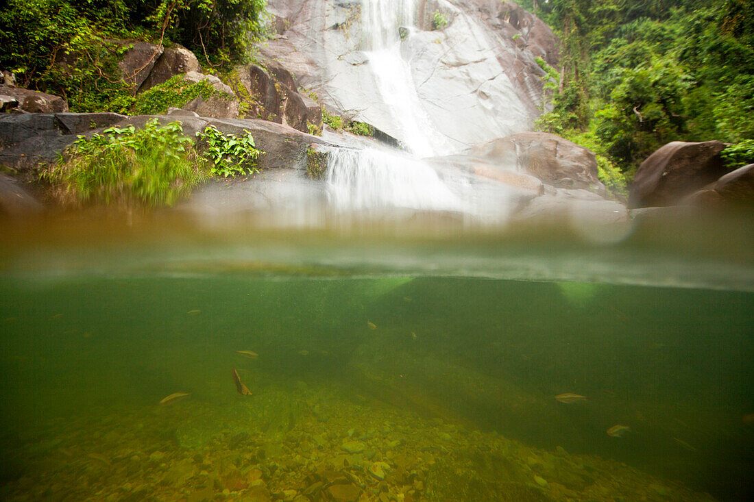 Known locally as Telaga Tujuh, Seven Wells Waterfall is so named because seven natural pools have been formed at different levels by water streams that flow down the second highest mountain of Langkawi - Mount Mat Cincang. Langkawi, officially known as La