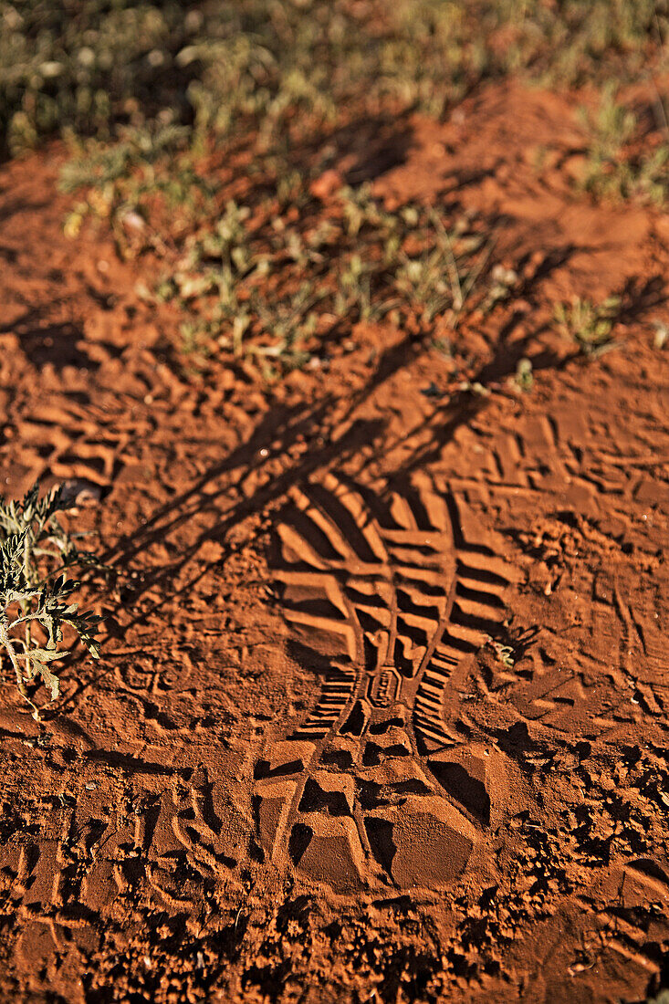 A chaco sandal foot print in red sand, Sedona AZ.