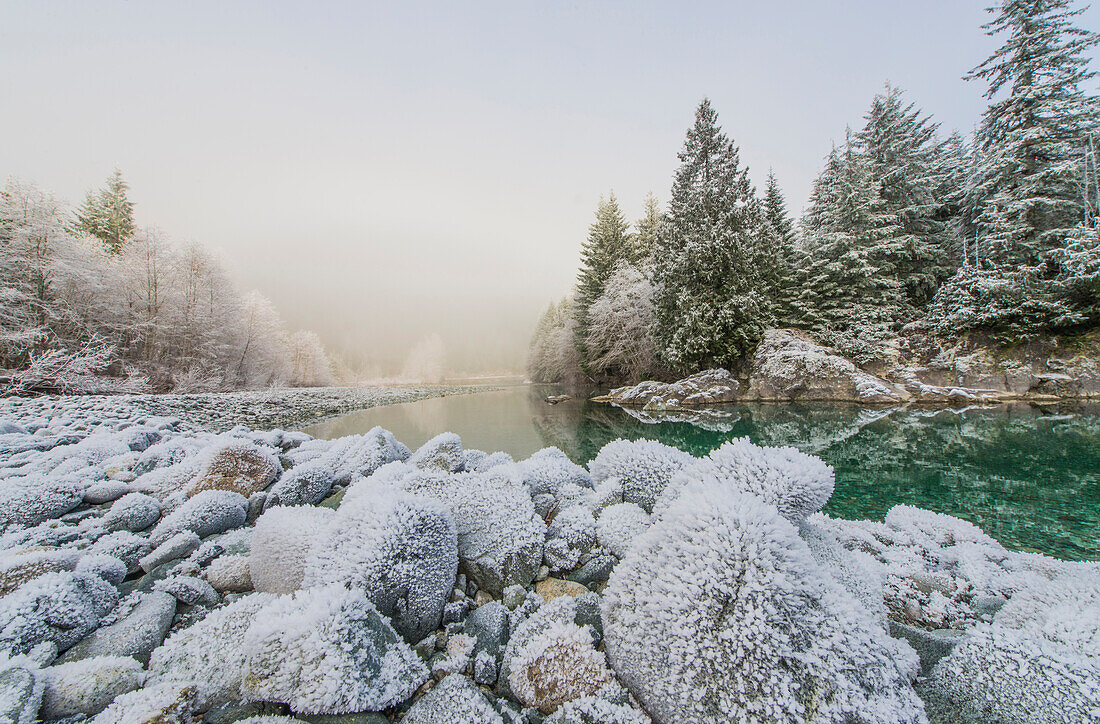 Frost on the banks of the Taylor River on the road to Tofino, British Columbia.