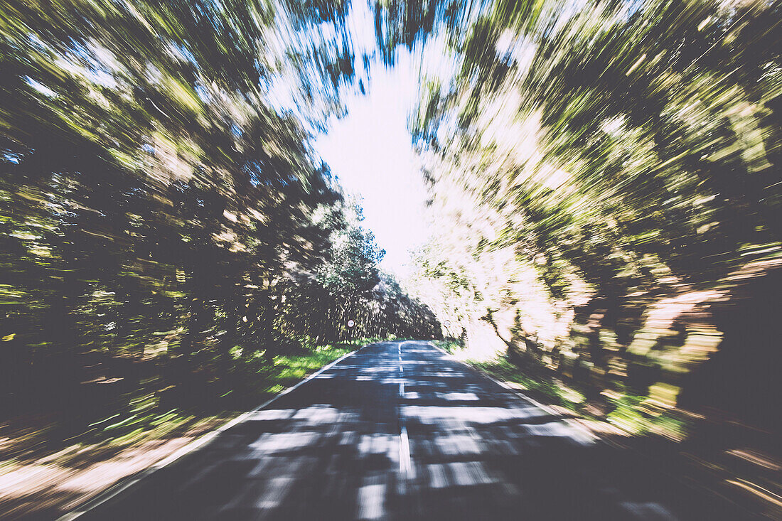 Tunnel vision of a road across a forest road