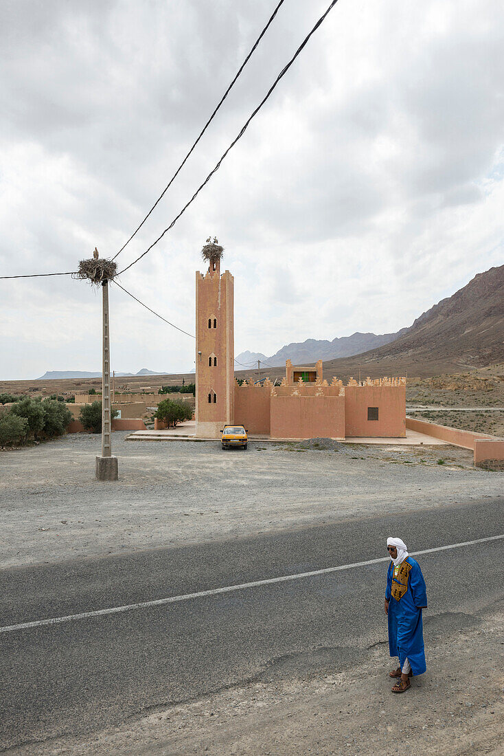 Moschee und Störche, bei Erfoud, Ziz-Tal, Sahara, Marokko