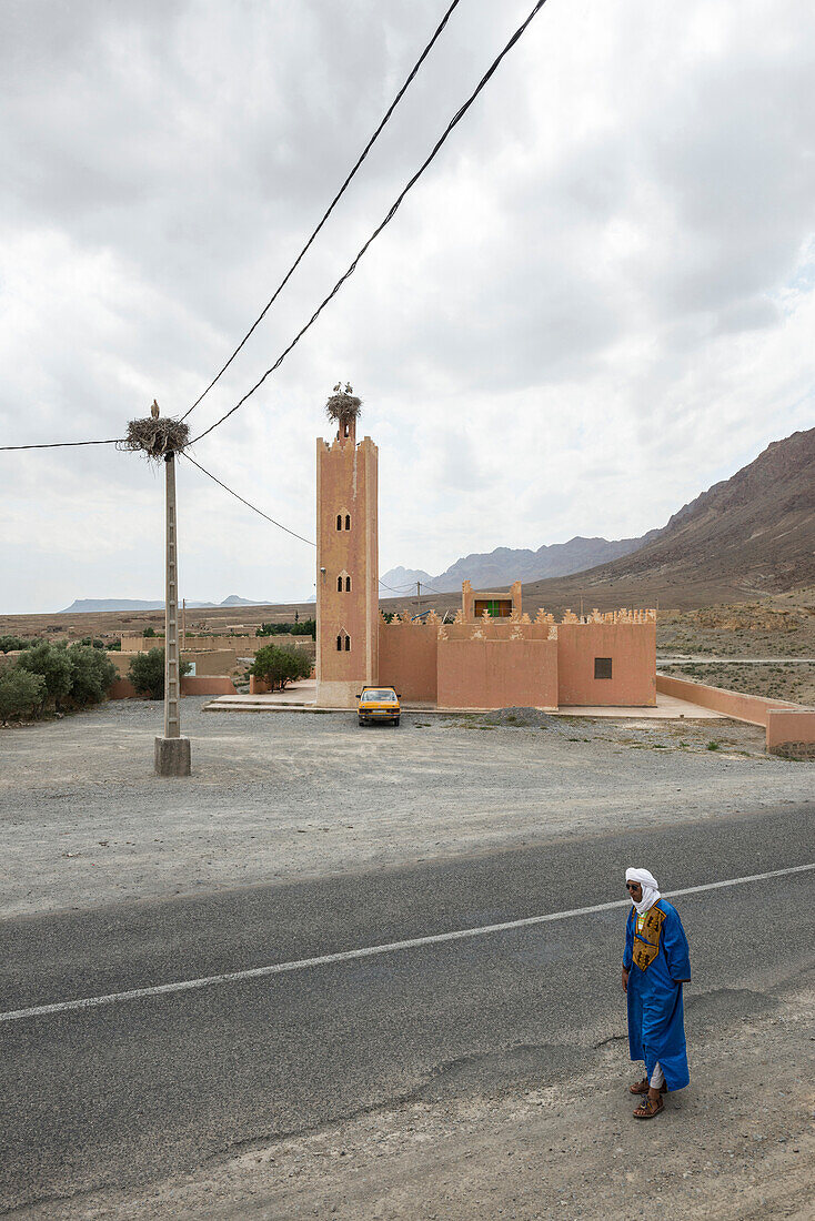 mosque and storks, near Erfoud, Ziz-Valley, Sahara Desert, Morocco