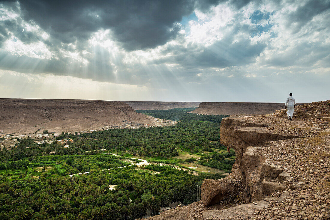 Oase bei Erfoud, Ziz-Tal, Sahara, Marokko
