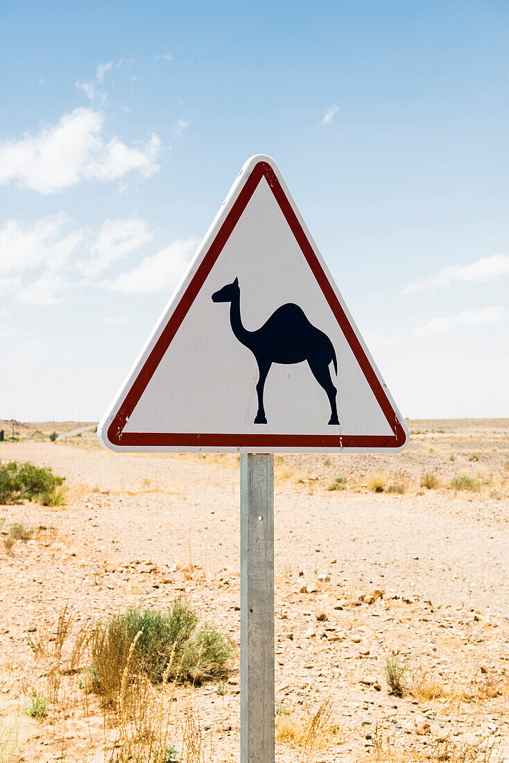 Achtung Kamele, Verkehrsschild, bei Erfoud, Sahara, Marokko