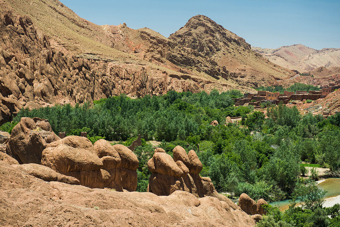 Oase, Dades-Tal, bei Boumalne-du-Dades, Sahara, Marokko