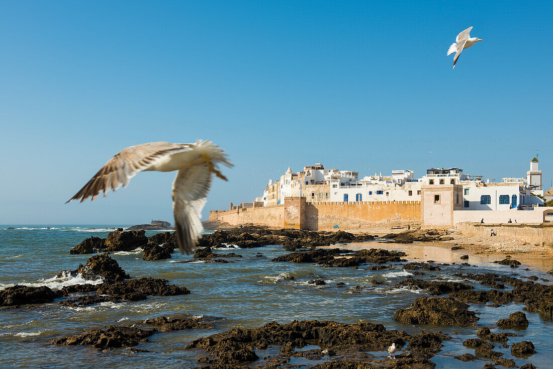 Essaouira, UNESCO Weltkulturerbe, Marokko