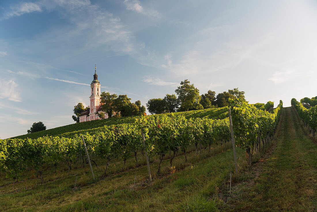 Birnau, Uhldingen, Lake Constance, Baden-Württemberg, Germany