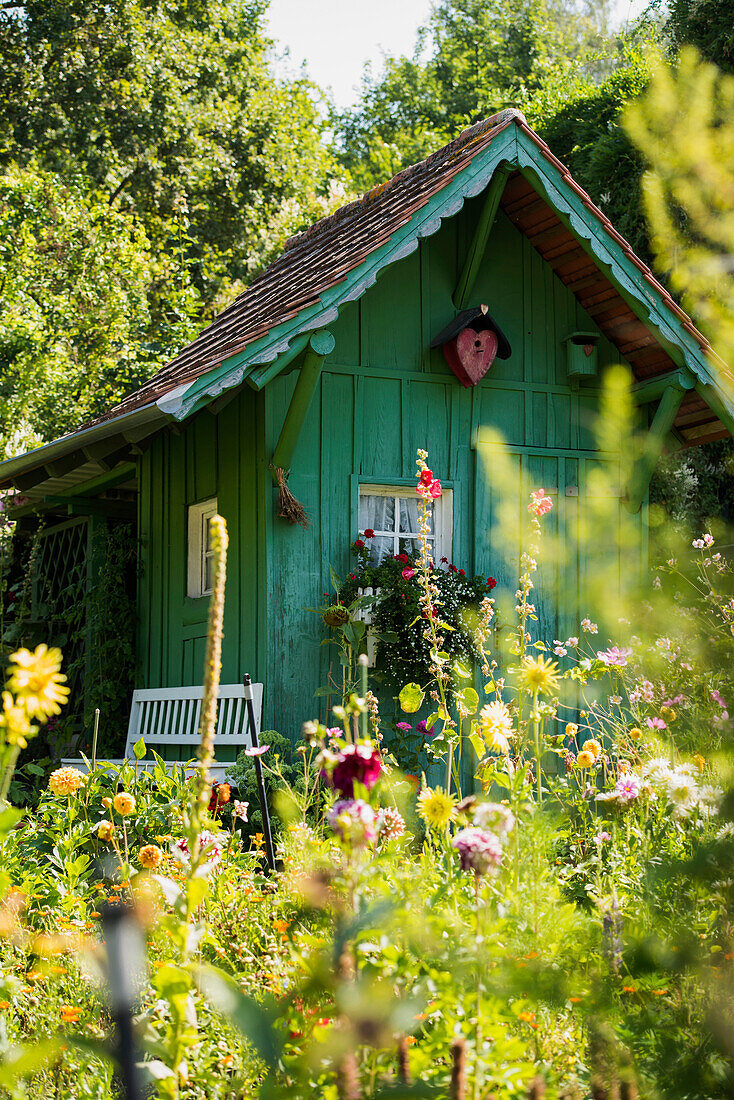 private garden with summer flowers, Meersburg, Lake Constance, Baden-Württemberg, Germany