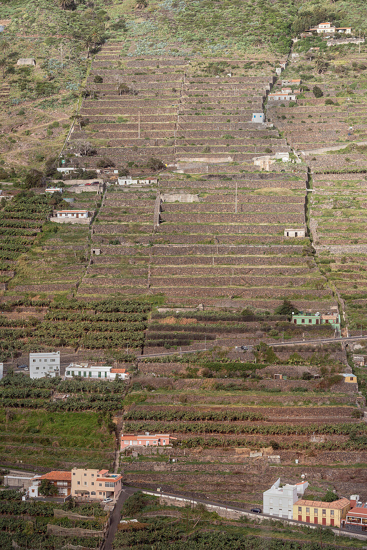 Terraces along the steep slopes of Hermigua, La Gomera, Canary Islands, Spain