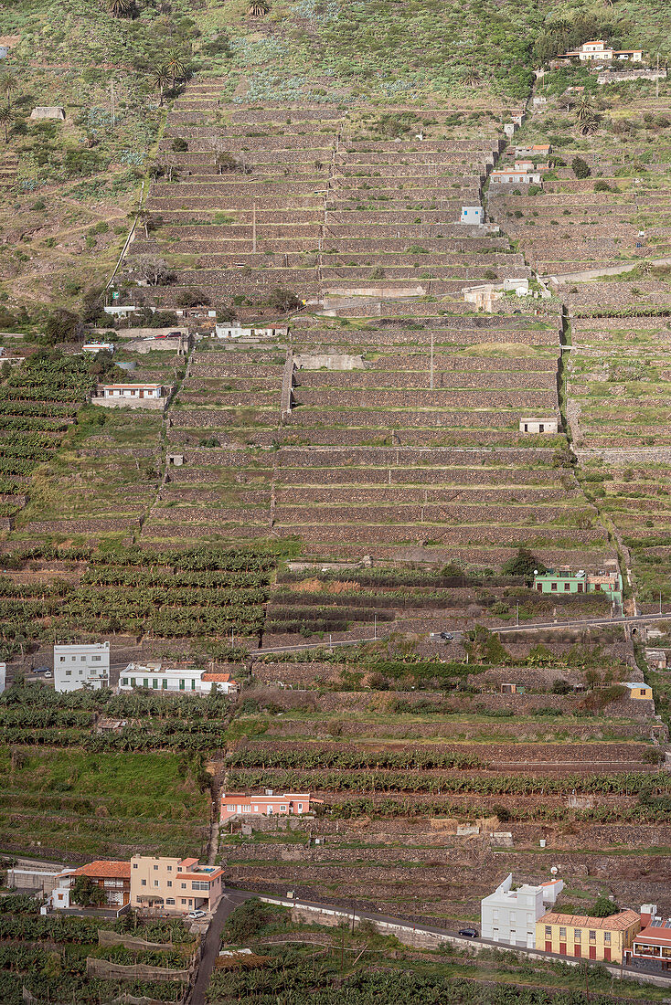 Trassen Architektur an den Steilhängen von Hermigua, La Gomera, Kanarische Inseln, Kanaren, Spanien