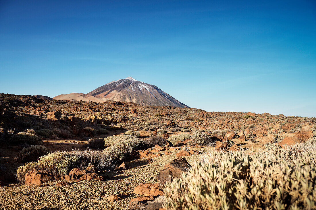 view towards Pico del Teide in harsh environment, Teide, volcano, National Park, Tenerife, Canary Islands, Spain