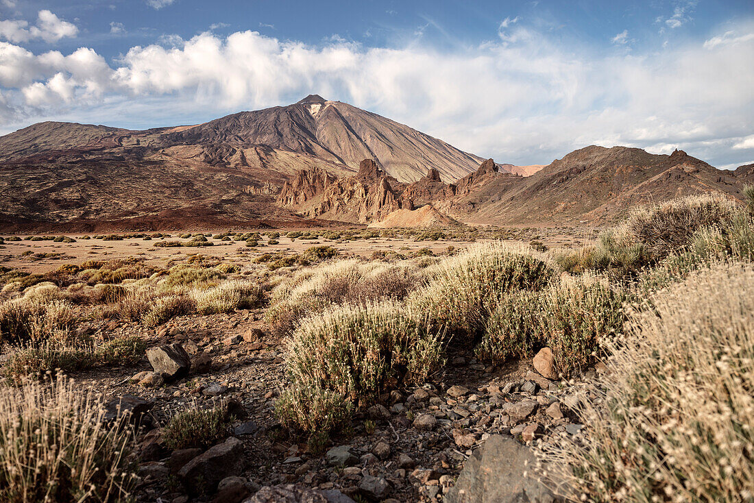 view towards Teide peak with crater, Teide volcano, National Park, Tenerife, Canary Islands, Spain