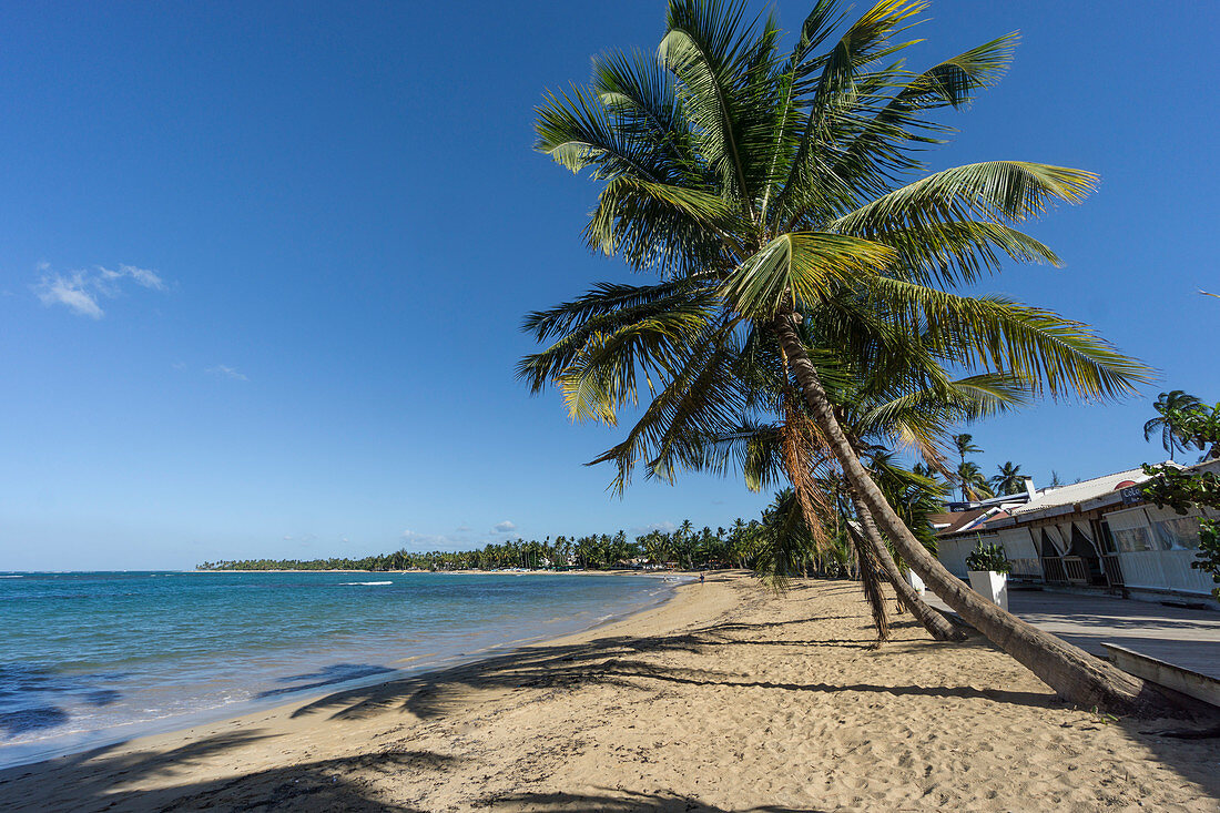 Las Terrenas Strand, Panorama, Samana, Dominikanische Republik, Antillen, Karibik