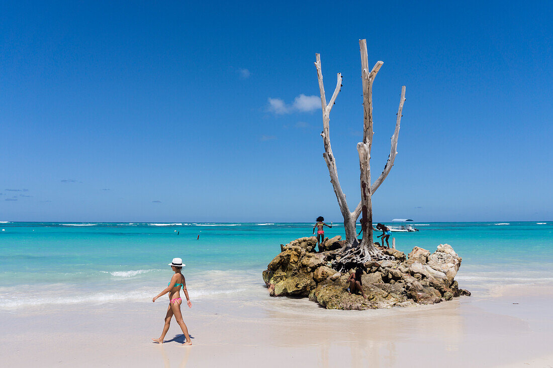 Palm beach, Playa Bavaro, Punta Cana, Samana, Dominikanische Republik, Antillen, Karibik