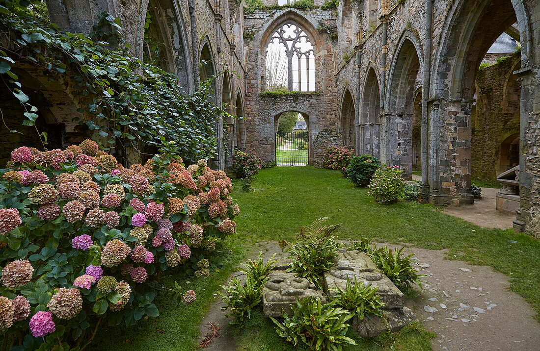 Abbaye de Beauport bei Paimpol, Dept. Côtes-d'Armor, Bretagne, Frankreich, Europa