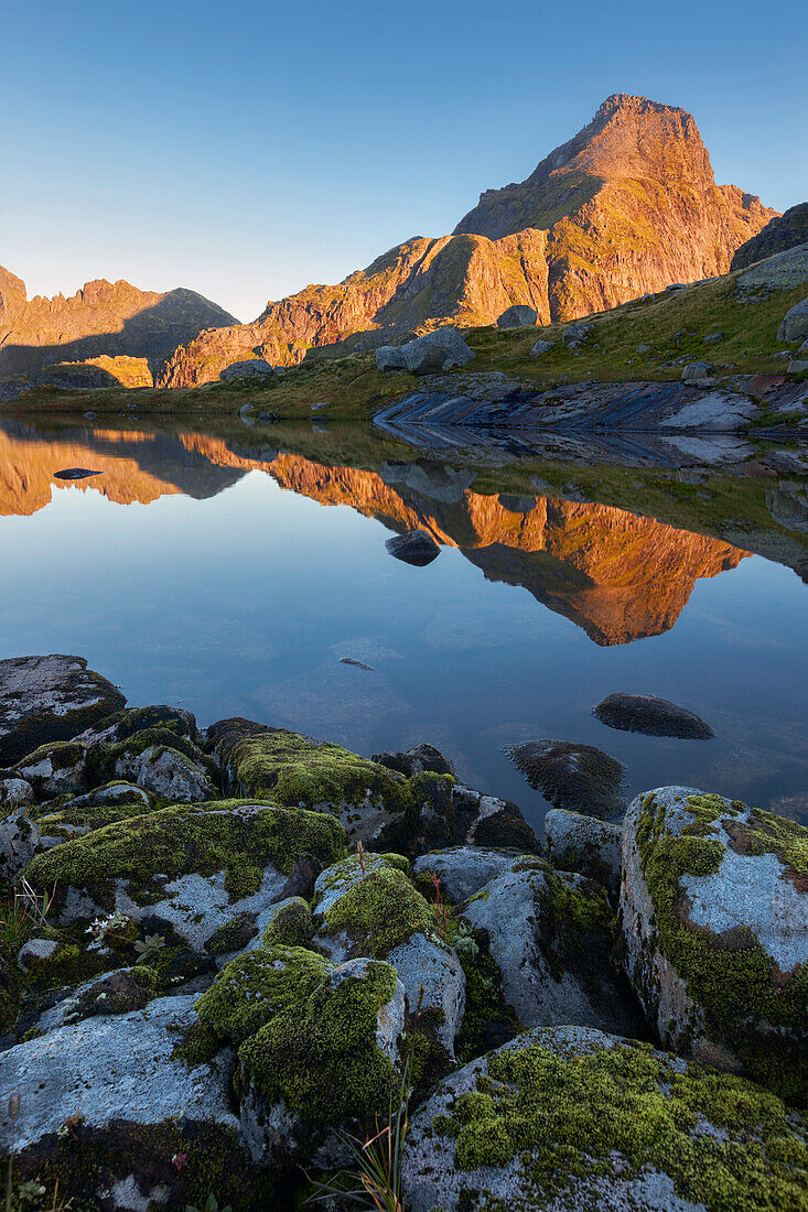 Sonnenaufgang über der vordersten Lofoteninsel Moskenesøy mit den beleuchteten Gipfeln des Hermannsdalstinden (1029 m) und seiner Spiegelung in einem kleinen Bergsee, Lofoten, Norwegen, Skandinavien