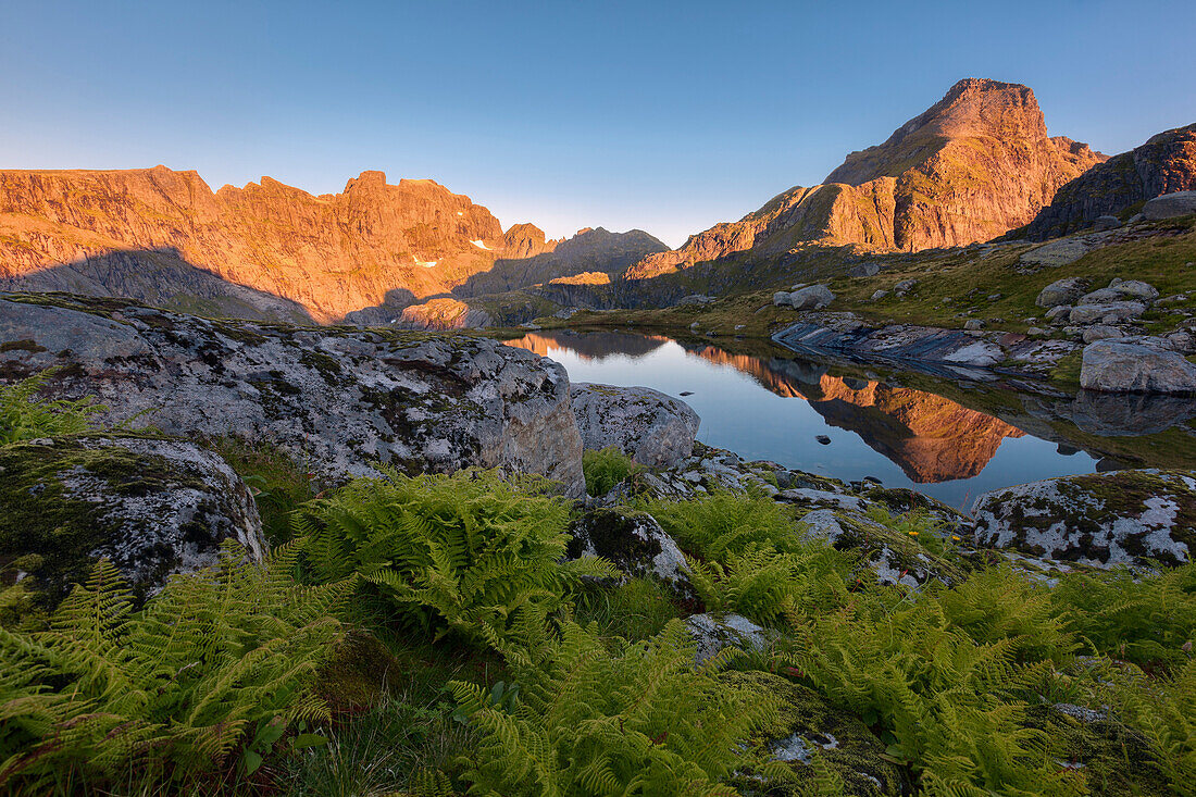 Sonnenaufgang über der vordersten Lofoteninsel Moskenesøy mit den beleuchteten Gipfeln von Hermannsdalstinden (1029 m, rechts) und Ertenhelltinden (940 m, links) und ihrer Spiegelung in einem kleinen Bergsee, Lofoten, Norwegen, Skandinavien