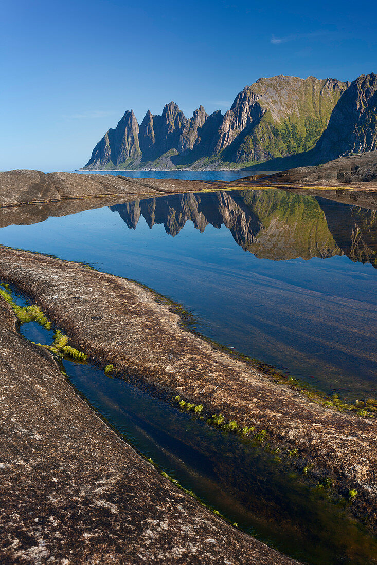 Okshornan Felsenspitzen am Ersfjordr in Nordnorwegen mit Spiegelung im Sommer, Insel Senja, Fylke Troms, Norwegen, Skandinavien