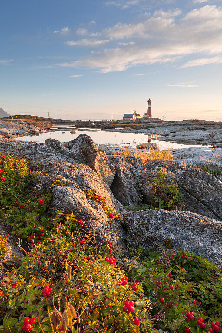 The lighthouse Tranøy Lighthouse on a sunny summer day with red berries in the foreground, Tranøya, Hamarøy, Nordland, Norway, Scandinavia