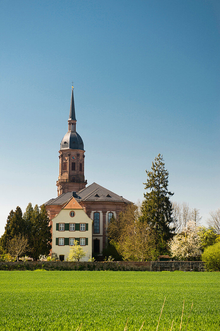 Schuttern Abbey, Friesenheim, Ortenau, Black Forest, Baden-Wuerttemberg, Germany