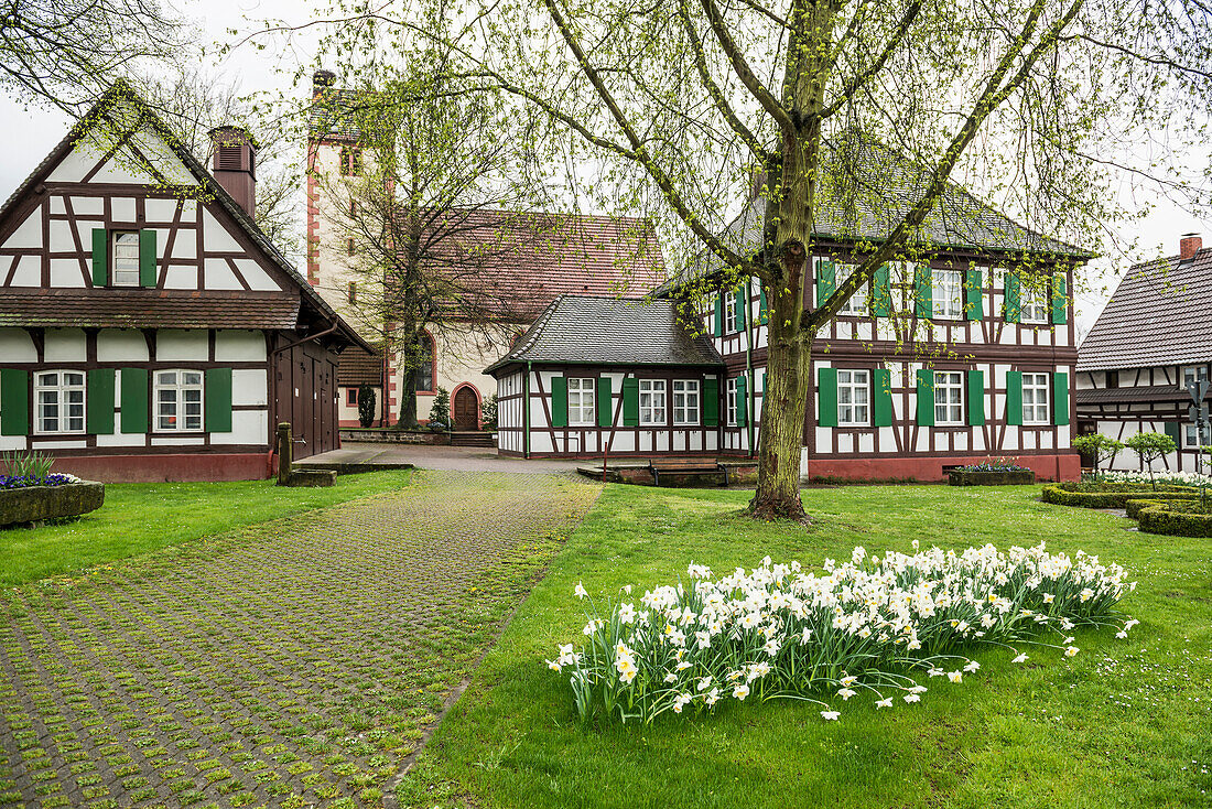 frame houses, Bodersweiher, Kehl, Ortenau, Baden-Wuerttemberg, Germany