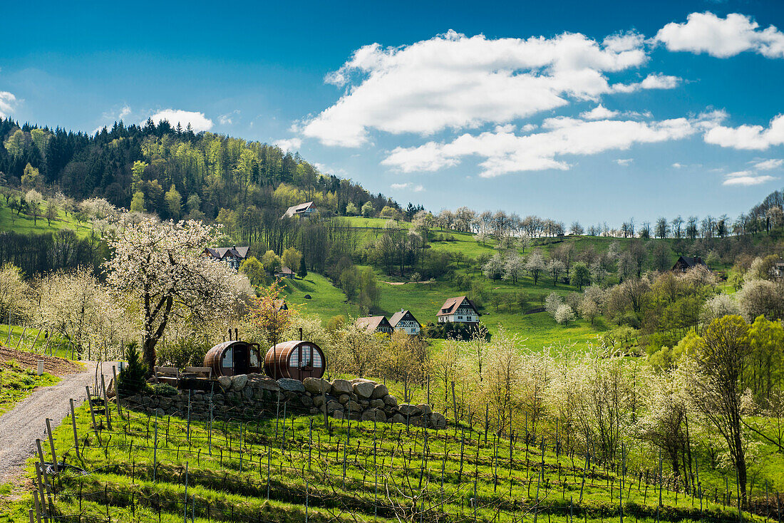 schlafen im Weinfass, Sasbachwalden, Ortenau, Schwarzwald, Baden-Württemberg, Deutschland