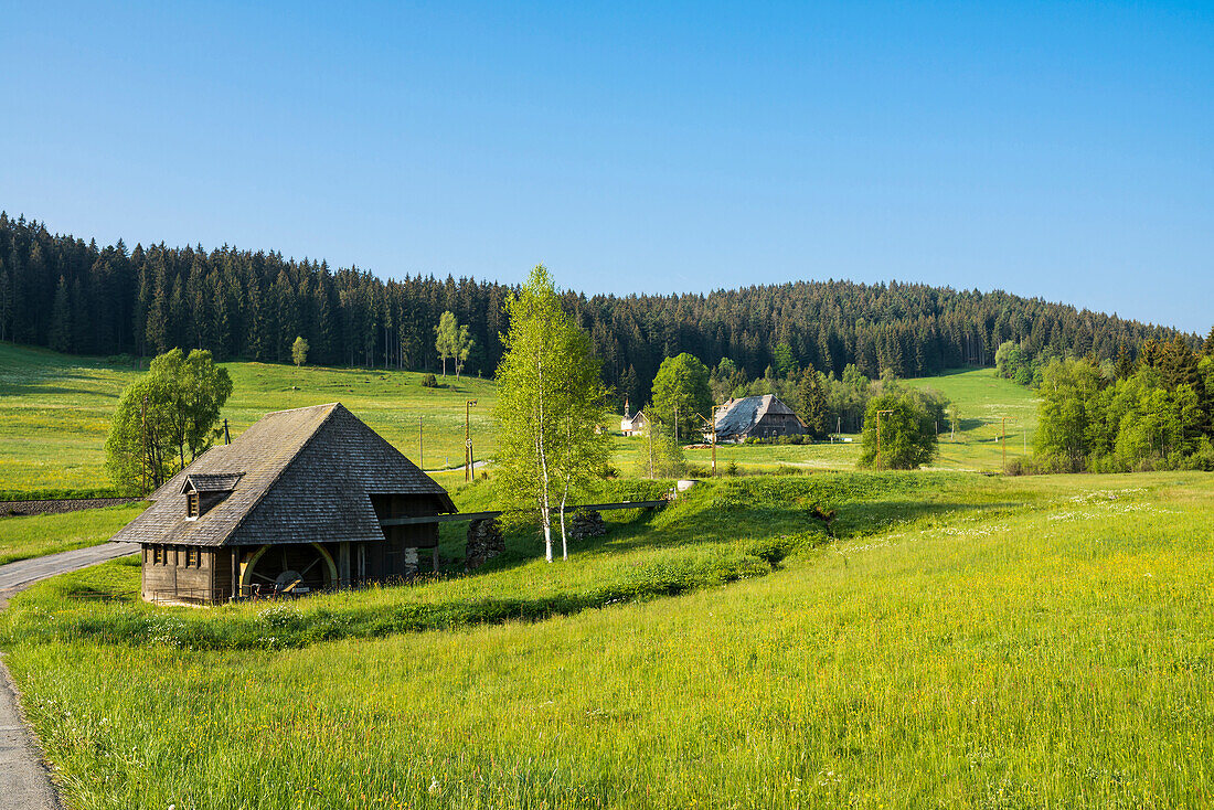 ancient mill, near Hinterzarten, Black Forest, Baden-Wuerttemberg, Germany