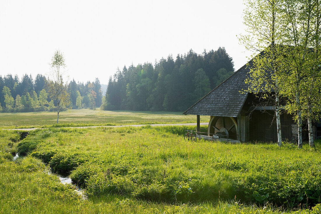 alte Mühle, bei Hinterzarten, Schwarzwald, Baden-Württemberg, Deutschland