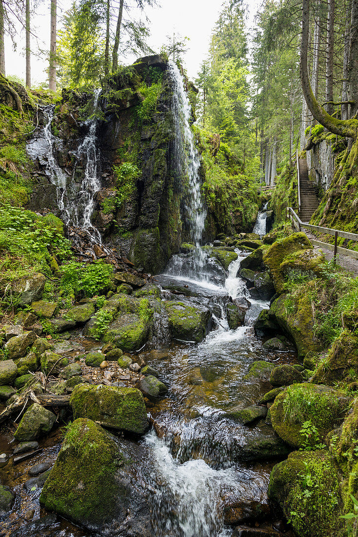 waterfall, Menzenschwand, St Blasien, Black Forest, Baden-Wuerttemberg, Germany