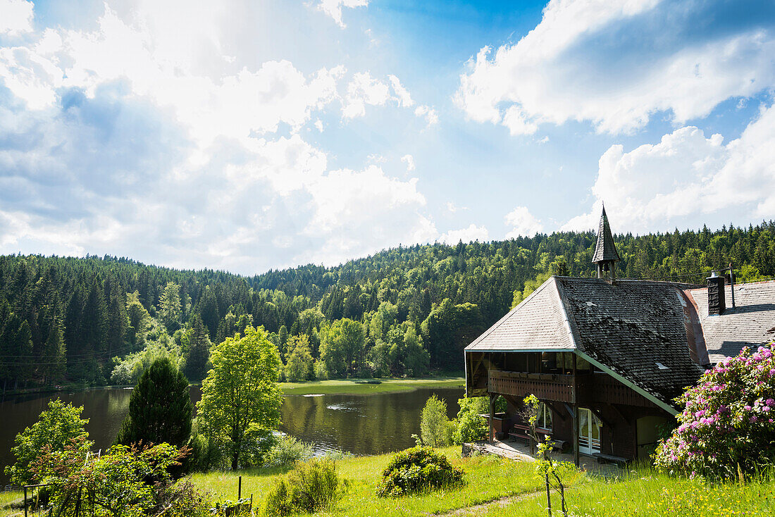 Klosterweiher, Wittenschwand, Dachsberg, Hotzenwald, Black Forest, Baden-Wuerttemberg, Germany
