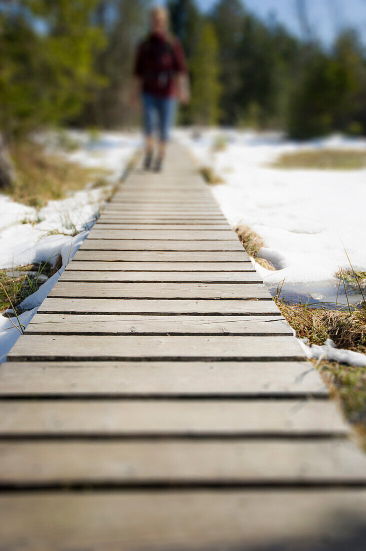 hiking trail, Blindensee, near Schonach, Black Forest, Baden-Wuerttemberg, Germany