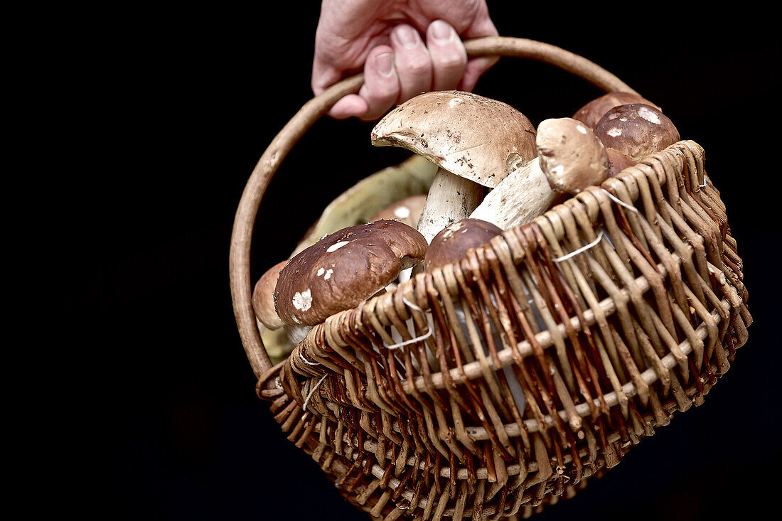 Basket full of mushrooms