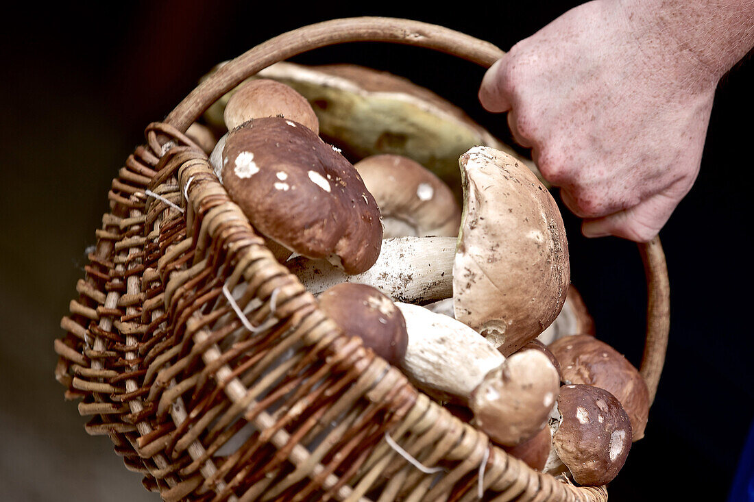 Basket full of mushrooms