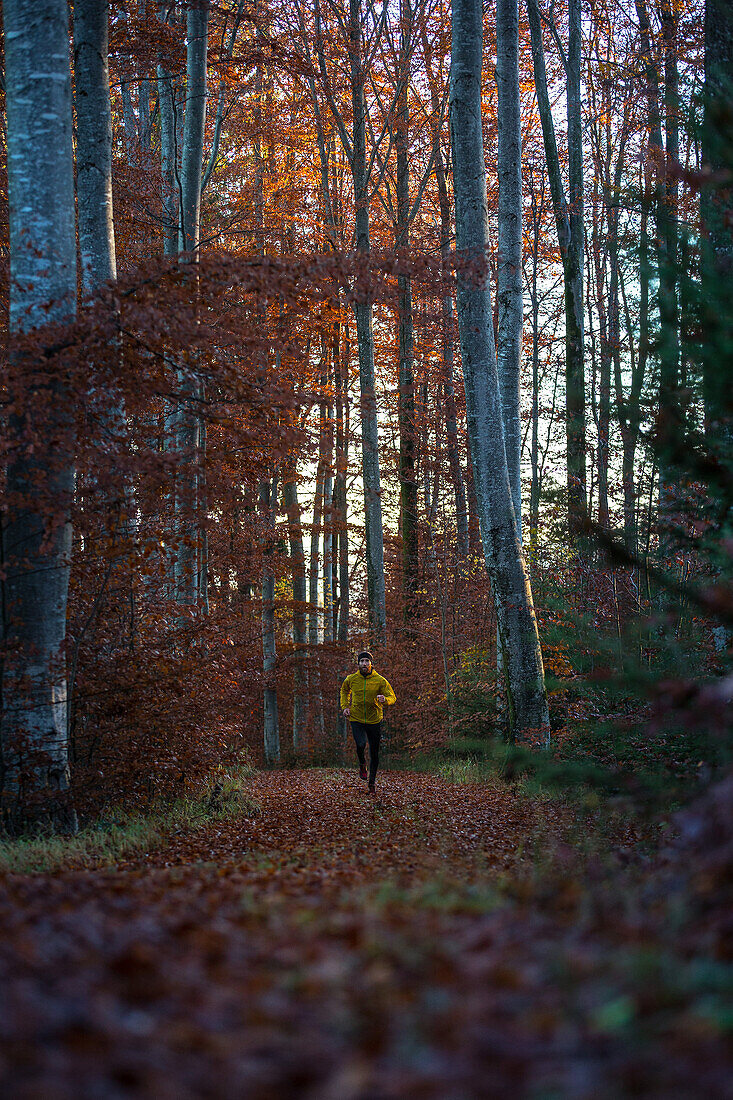 Junger Mann läuft auf einem Weg durch einen Wald, Allgäu, Bayern, Deutschland